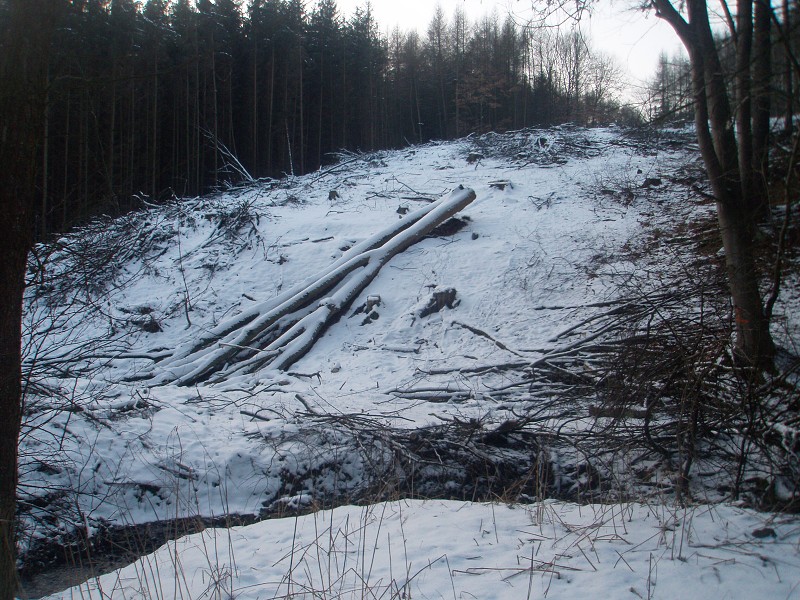 233_(2011-01-28)_01.jpg