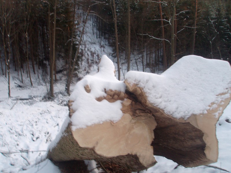 233_(2011-01-28)_04.jpg