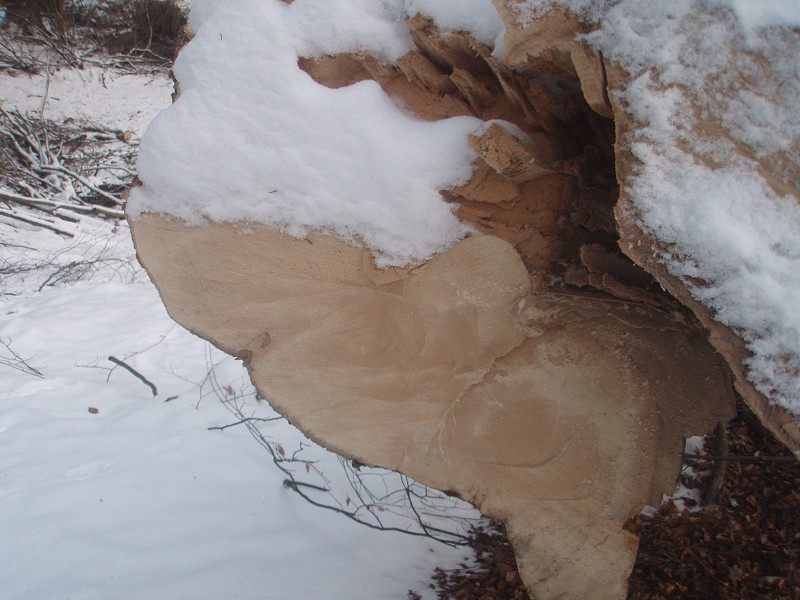 233_(2011-01-28)_06.jpg