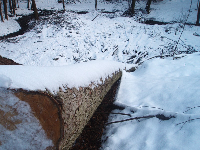 233_(2011-01-28)_07.jpg