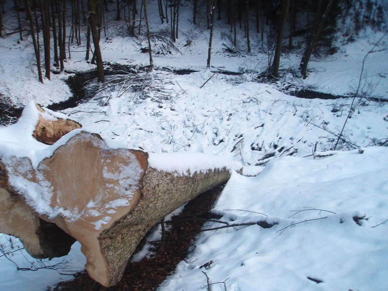 233_(2011-01-28)_08.jpg