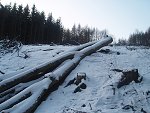 thn_233_(2011-01-28)_02.jpg