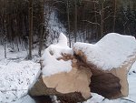 thn_233_(2011-01-28)_04.jpg