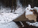thn_233_(2011-01-28)_05.jpg