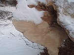 thn_233_(2011-01-28)_06.jpg