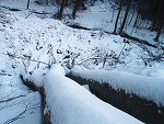 thn_233_(2011-01-28)_10.jpg