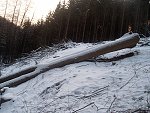 thn_233_(2011-01-28)_11.jpg