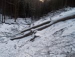 thn_233_(2011-01-28)_12.jpg