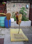 thn_309_(2011-06-22)_07.jpg