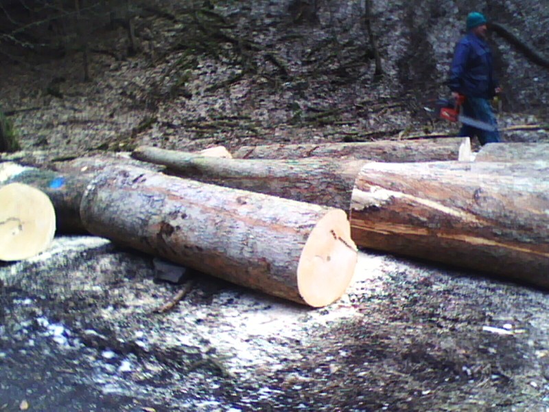 360_(2011-03-xx)_03.jpg