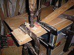 thn_397_(2012-03-03)_08.jpg